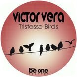 Artwork for "Tristesse Birds"