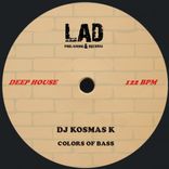 Artwork voor "Colors Of Bass"