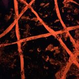 Artwork for "Need Ya"