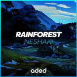 Artwork for "Rainforest"
