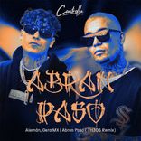 Artwork for "ABRAN PASO REMIX"
