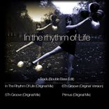 Portada para "In The Rhythm of Life"
