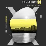 Artwork voor "Awakening"