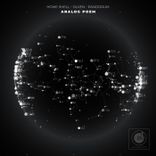 Portada para "Analog Poem"