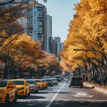 Stop Work, Time For Joys