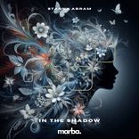 Artwork für "In The Shadow"