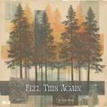 Artwork for "Feel This Again"