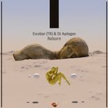 Artwork for "Reborn"