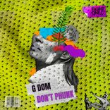 Artwork for "Don't Phunk"