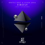 Artwork voor "Firefly"