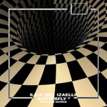 Artwork for "Butterfly"