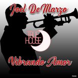 Artwork for "Vibrando Amor"