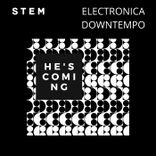 Artwork voor "He's Coming Stem Pack"