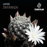 Artwork for "Inyanga"