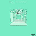 Artwork for "Echoes of the Concrete"