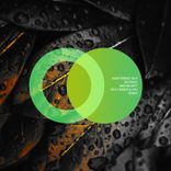 Artwork for "Moonlight"