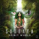 Artwork voor "Spirit World"