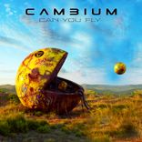 Artwork for "Can You Fly"