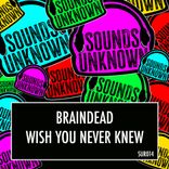 Artwork for "Wish You Never Knew"