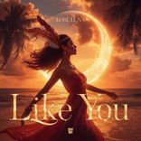Artwork voor "Like You"