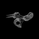 Artwork for "Glowbrick"