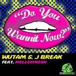 Artwork for "Do You Wannit Now"