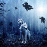 Artwork for "Misguided Punch"