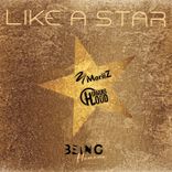 Artwork for "Like a Star"