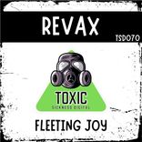 Portada para "Fleeting Joy"