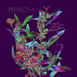 Artwork for "Mimosa"
