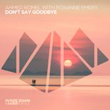 Artwork voor "Don't Say Goodbye"