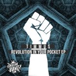 Artwork voor "Revolution In Your Pocket"