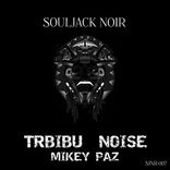 Artwork for "Tribu Noise"