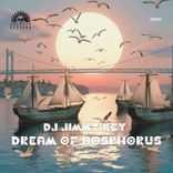 Portada para "Dream of Bosphorus"