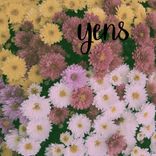 Artwork for "Bring It Back"