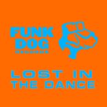 Artwork für "Lost In The Dance"