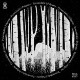 Artwork for "Pyramidalis"