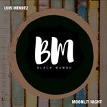 Artwork for "Moonlit Night"