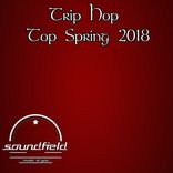 Artwork for "Trip Hop Top Spring 2018"