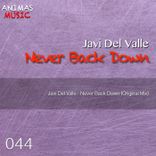 Artwork for "Never Back Down"