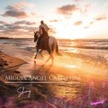 Portada para "Shiny"