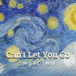 Artwork for "Can't Let You Go"