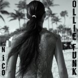 Artwork voor "Ollie Funk"