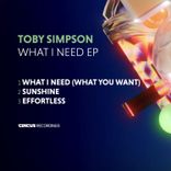 What I Need (What You Want)