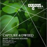 Artwork for "Mary´s Groove Soldier"