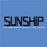 Artwork for "Tell The Sun"