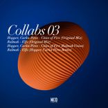 Artwork for "Collabs 03"