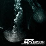 Artwork voor "Awaken"