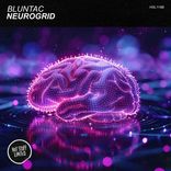Neurogrid