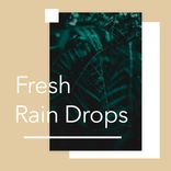 Portada para "Fresh Rain Drops"